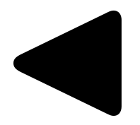 arrowtriangle.backward.fill